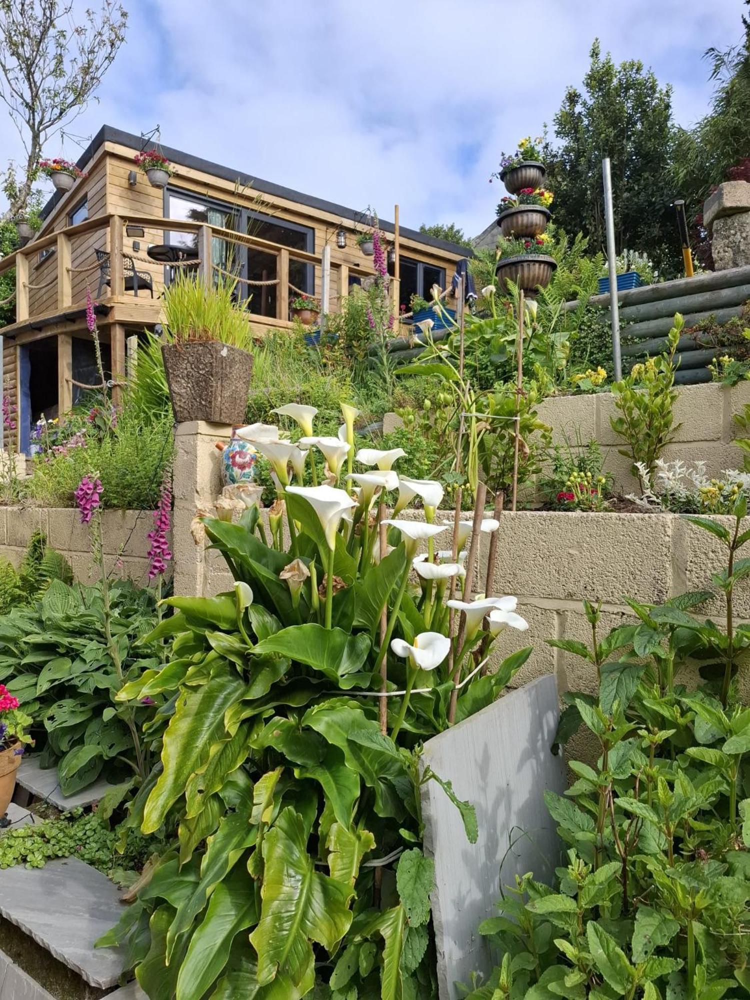 Cosy Cornish Cabin Сент-Остел Экстерьер фото